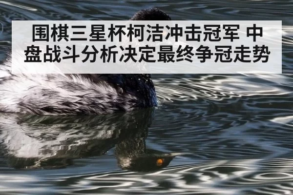 围棋三星杯柯洁冲击冠军 中盘战斗分析决定最终争冠走势